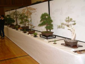 2000s Nikkei Matsuri